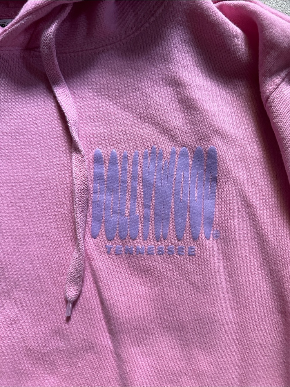 Pink Dollywood Pullover Hoodie with Lavender/Lilac Graphics Size Small - Picture 3 of 11